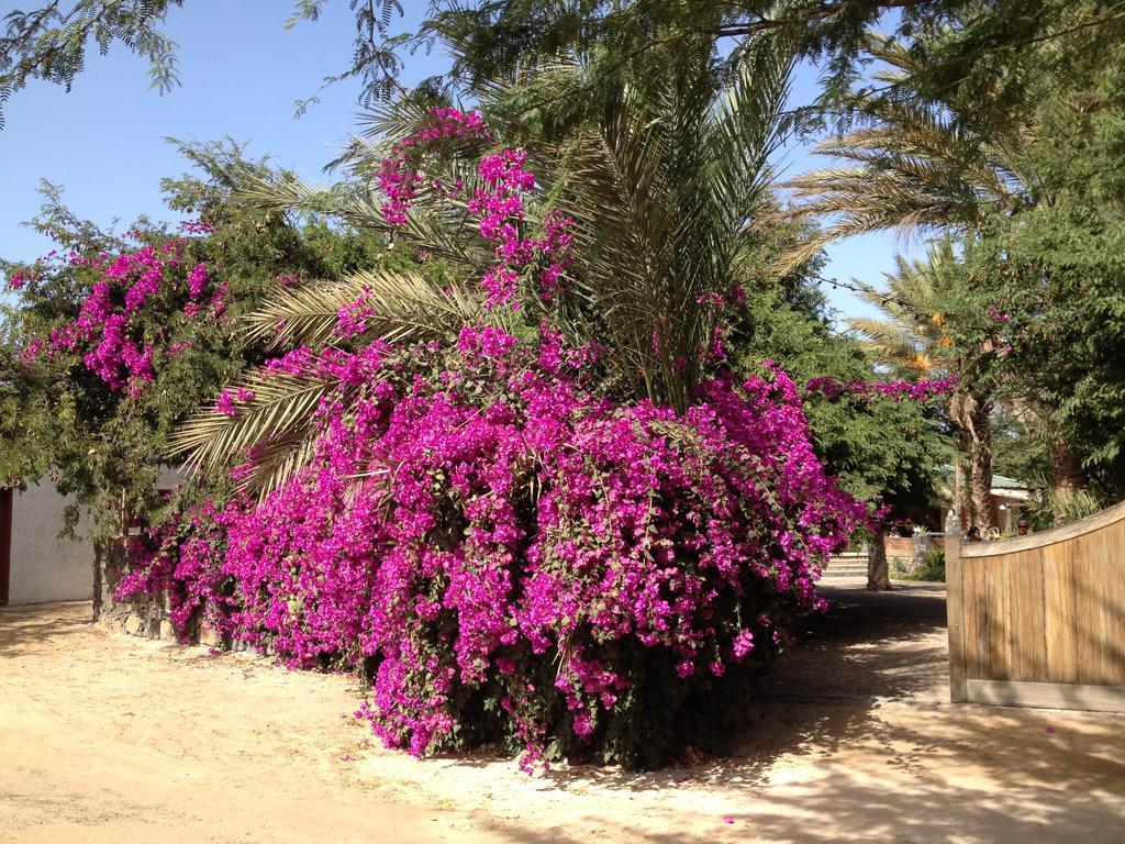 Villa Morabeza Guest House ミンデロ エクステリア 写真